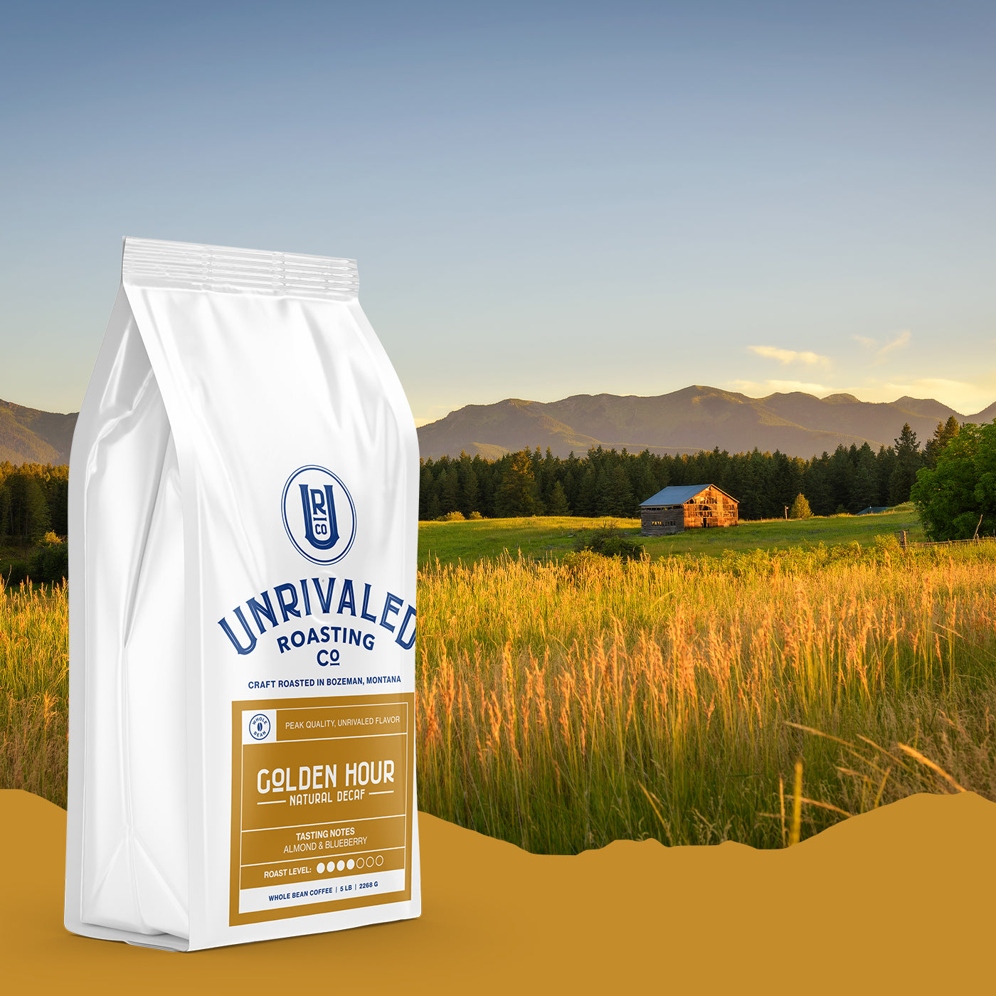 Unrivaled Coffee | Golden Hour Decaf (5lbs) – Unrivaled Coffee Co.